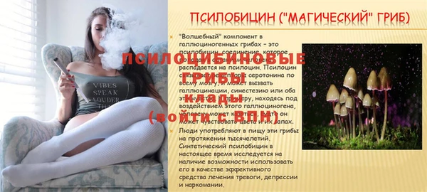 дурь Лагань