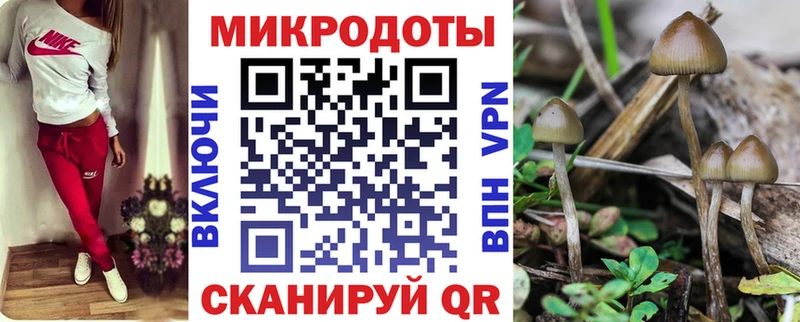 Купить где  Орлов  Галлюциногенные грибы Magic Shrooms 